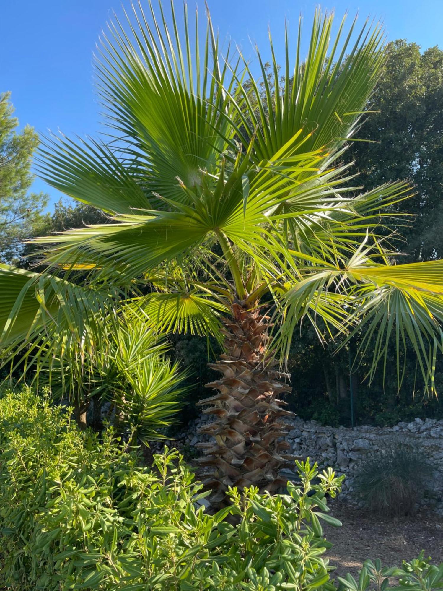 Hotel Da Ksenia à Ceglie Messapica Extérieur photo